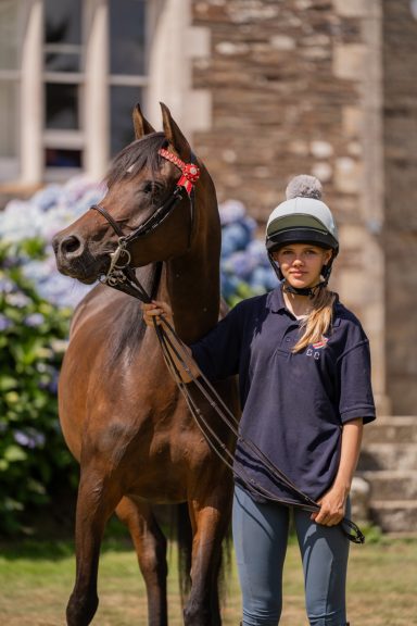 AB Lizabeau A bay Arabian mare in a bridle