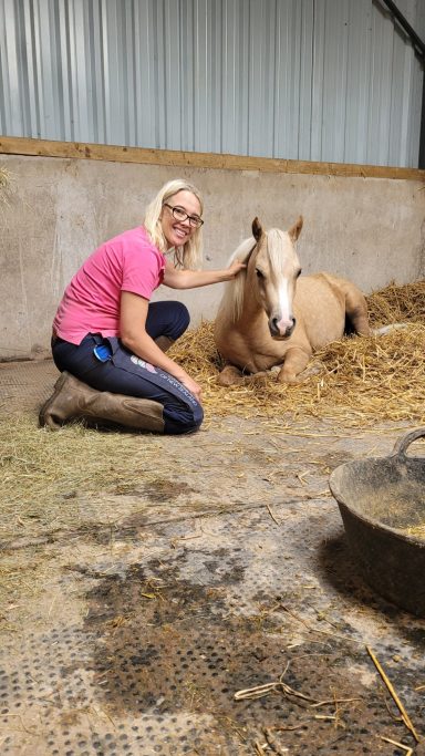 Coedana Golden Nugget A palomino pony with a white blaze